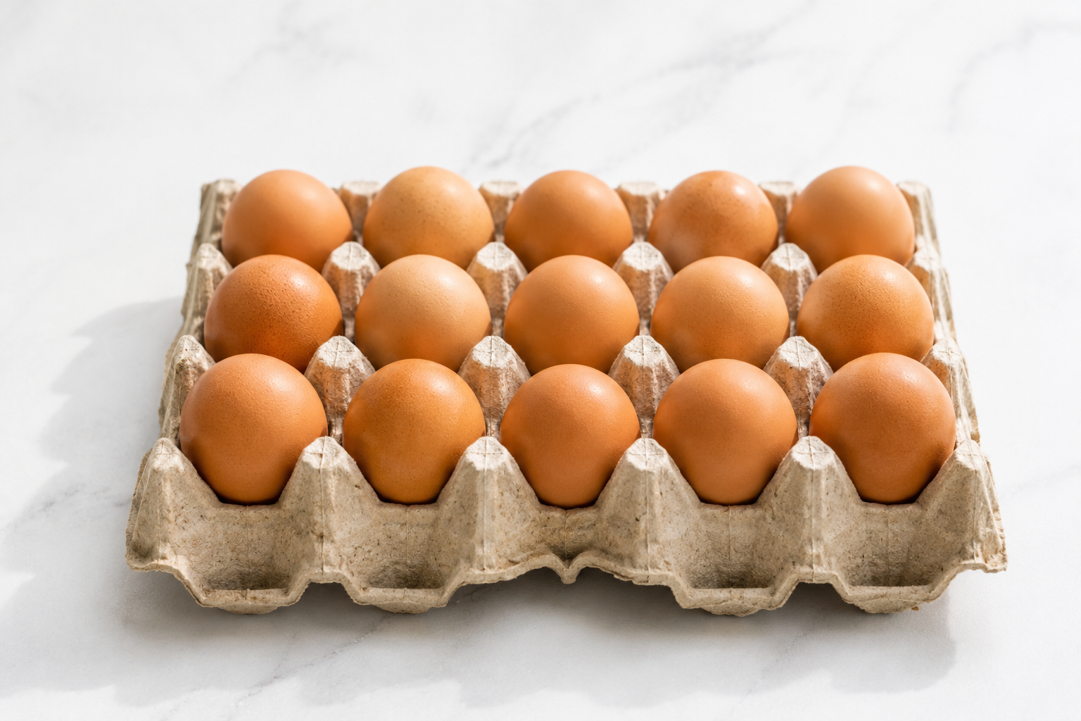 Fresh eggs