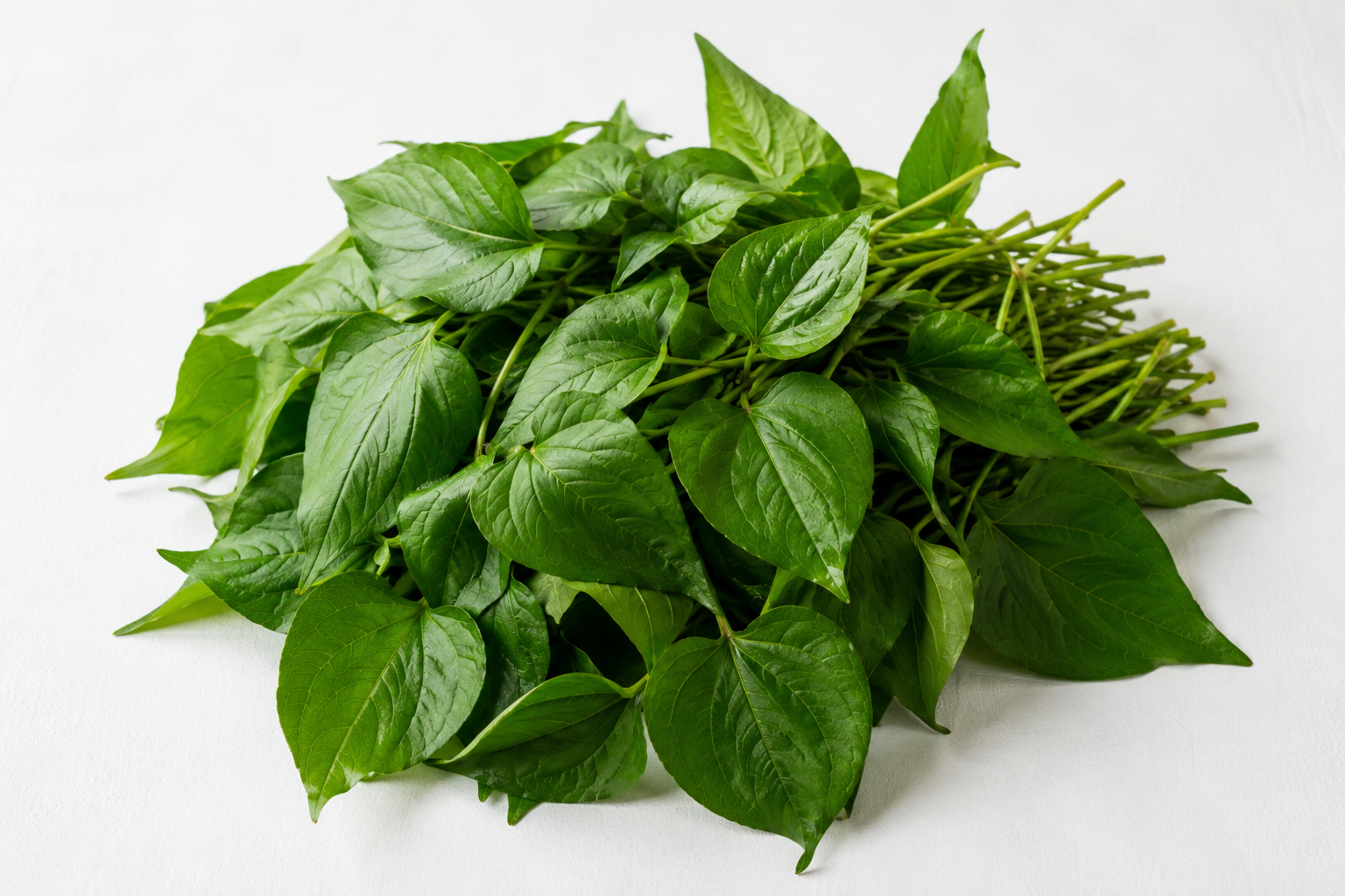 Fresh uziza leaf